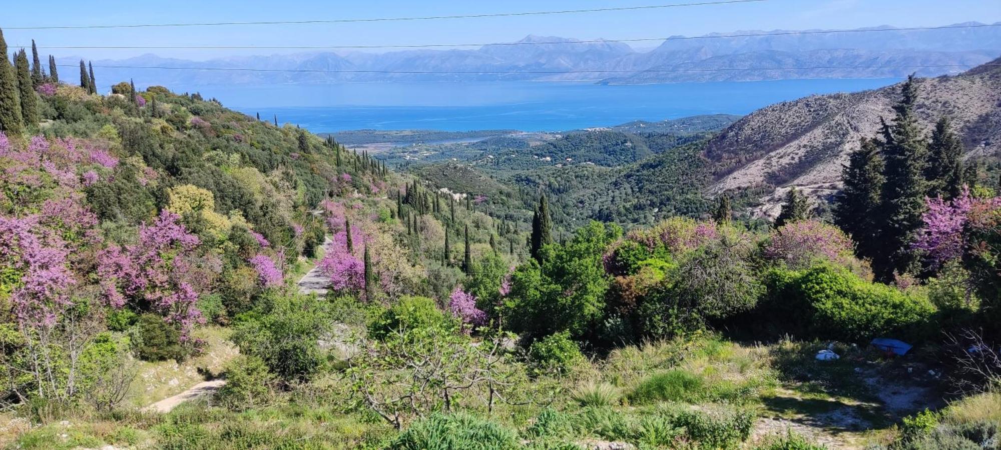 Corfu Castello Di Lafki公寓 外观 照片